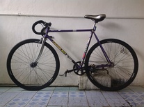 Purple Fixed Gear