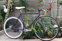 Purple kilo tt (7th) photo