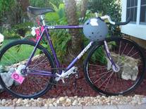 Purple Kilo TT