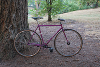 Purple Soma Rush