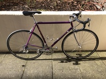 Roselli purple 57cm