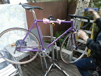 Purple Sparkle Vivalo NJS