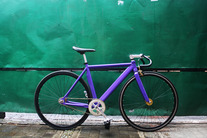 Purple Visp TRX 790