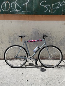 Pusaworks Tracklocross/SSCX