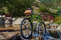 Raleigh 29er photo