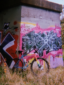 Raleigh Belt Drive single speed