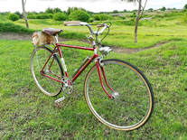 Raleigh Buccaneer 1976 custom