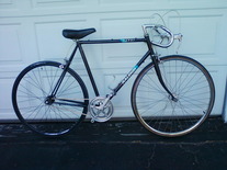 Raleigh Capri photo