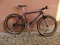 Raleigh M80 photo