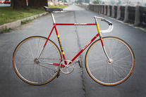 Raleigh Professional'75 (Team Ti)