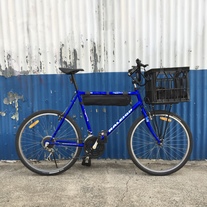 Raleigh RS1500 Cargo Bike photo