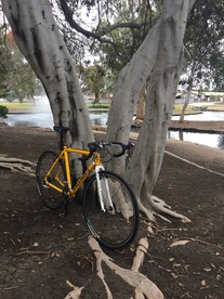 Raleigh RX 1.0 Cyclocross photo