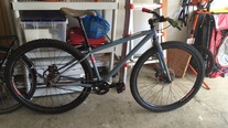 Raleigh SS 29er