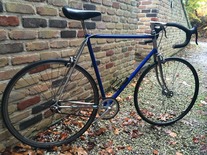 Raleigh steel commuter