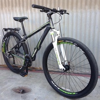 Raleigh Talus 29 Hardtail
