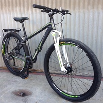 Raleigh Talus 29 Hardtail photo