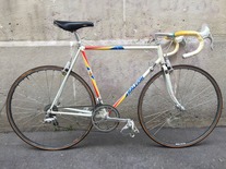 raleigh team castorama 753 photo