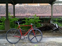 1984 Raleigh Team Replica 12