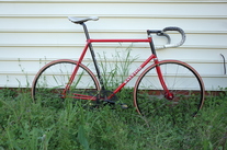 Raleigh ti Professional track