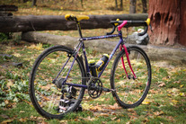 Ralf Jantzen Сross Power CX