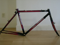 Rare Pinarello Giovo MTB photo