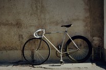 Rat bike photo