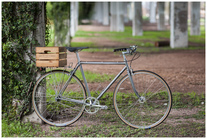 **SOLD** RAW frame single speed townie photo