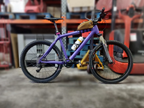 Razesa Mountain Bike