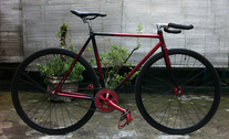 Red Black