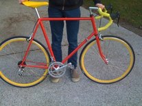 Red Raleigh