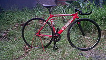 Red Visep photo