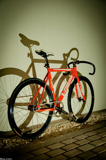 Red VISP TRX 790 photo