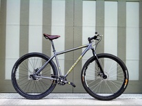 Redline Monocog 29er ('08) photo