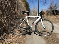 Redline SSCX photo