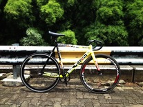 (Repainted) Cinelli Mash