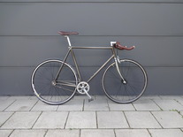 Raleigh Brazil Fixed Gear Conversion photo