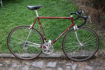 Rickert Special 1980s Campy Record 10 Ti