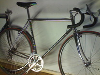 rickert special campagnolo 50th