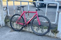 Ridley Oval photo