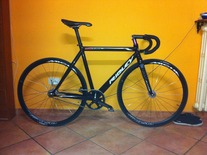 Ridley Oval 7D6.1