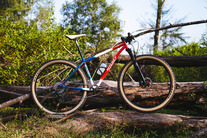 Ritchey P-29er photo