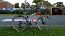 Ritchey P-29er photo