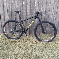 Ritchey P-29er photo