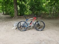 Ritchey P-29er photo