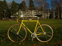 Rossin fixed gear conversion photo