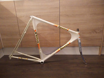 Rossin Futura CX TT / Pursuit