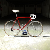 Rossin single speed "Radicales" photo