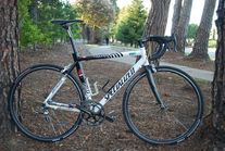 S-Works E5 Acqua & Sapone (Zebra) photo