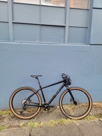 Salsa Journeyer