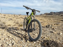 Salsa Timberjack 27.5+ Lime 2018